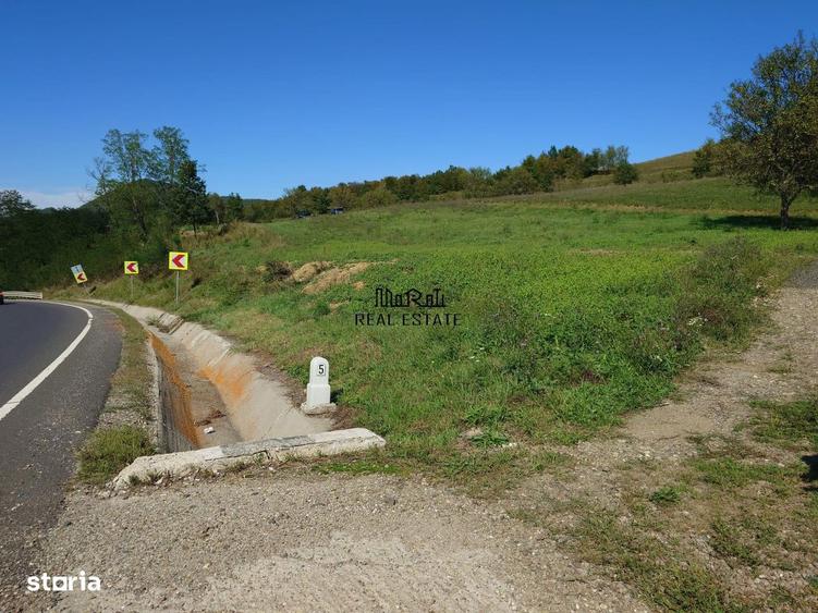 Teren de 8757 mp, în Luncoiu de Jos