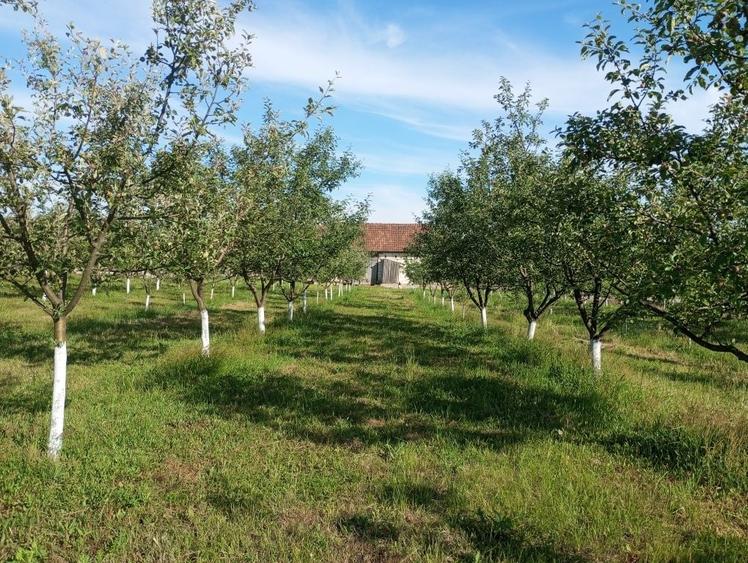 Casă cu 2 camere în Hălmăgel