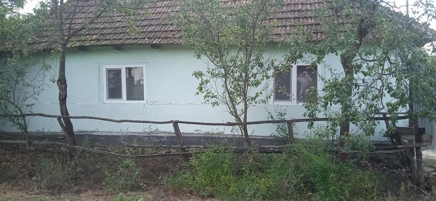 Casă cu Teren 5000 Mp în Miheleu