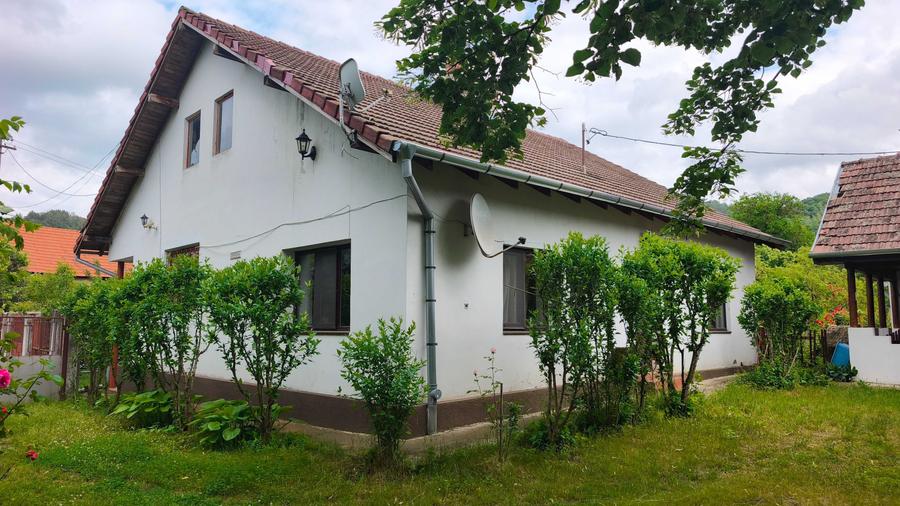 Casă cu 3 camere în Pianu
