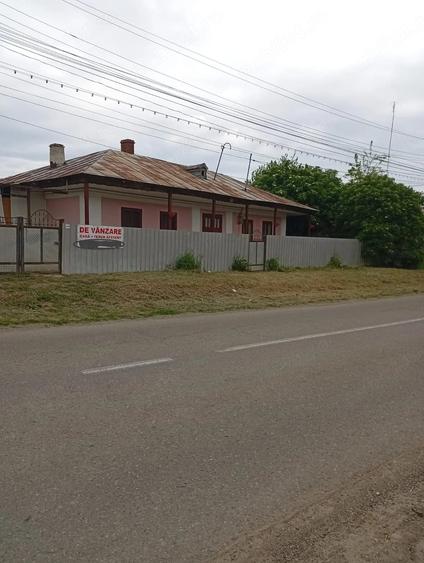 Casă cu Teren 4000 Mp în Moldoveni