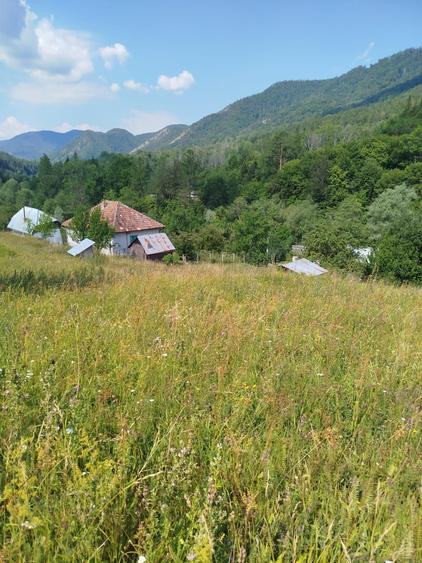 Vand Casa si Teren Sat Vadu Oii, Gura Teghii - 2
