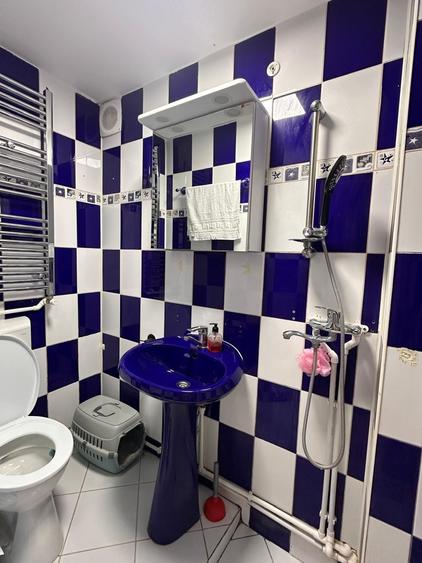 Apartament cu o camera de vanzare - 6
