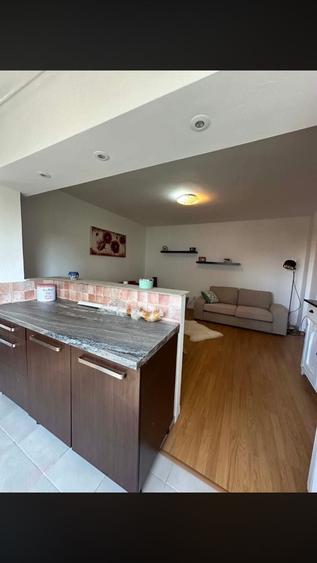 Apartament cu 2 camere decomandat în Careiului
