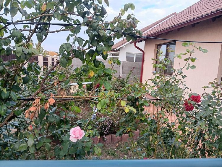 Casă cu 3 camere cu Teren 700 Mp în Central