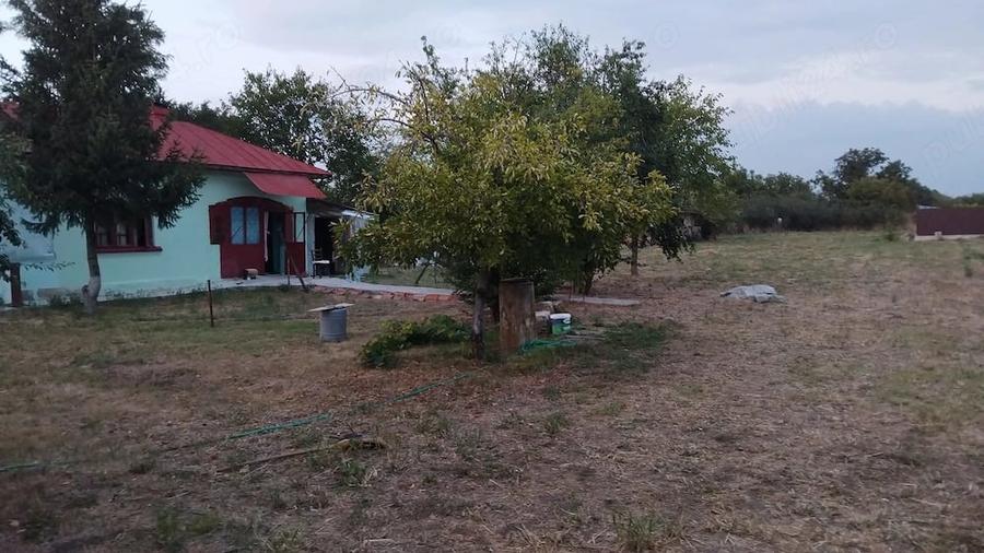 Casă cu Teren 2900 Mp în Izvoru (Gogoșari)