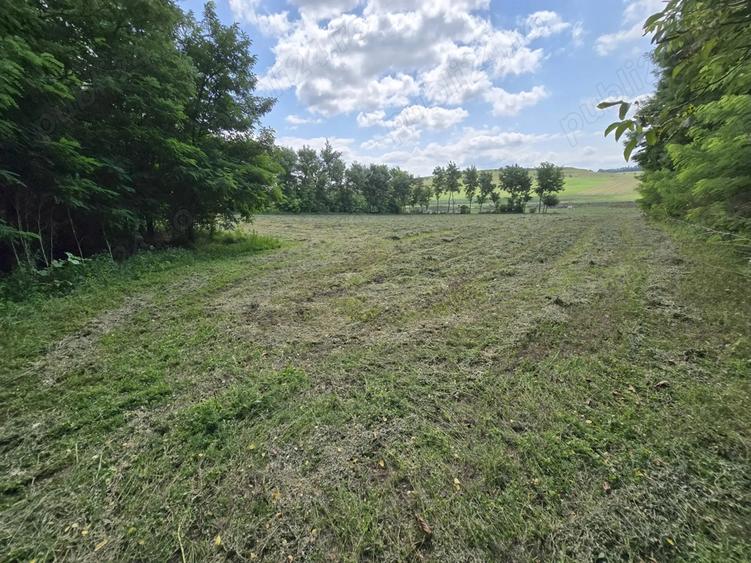 Teren de 4725 mp, în Roma
