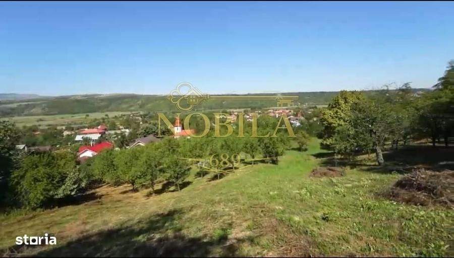 Spațiu comercial, în Filipești