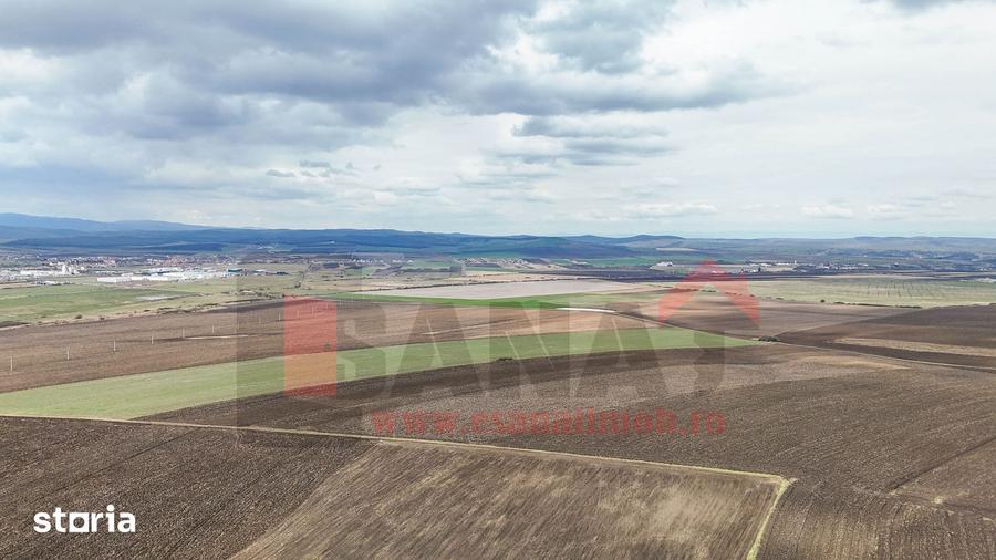 Ocazie | Teren 50.400 mp | Sura Mica | Investitie / dezvoltare |VIDEO - 3