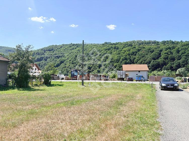 Teren Construcții intravilan de 4031 mp, în Negreni