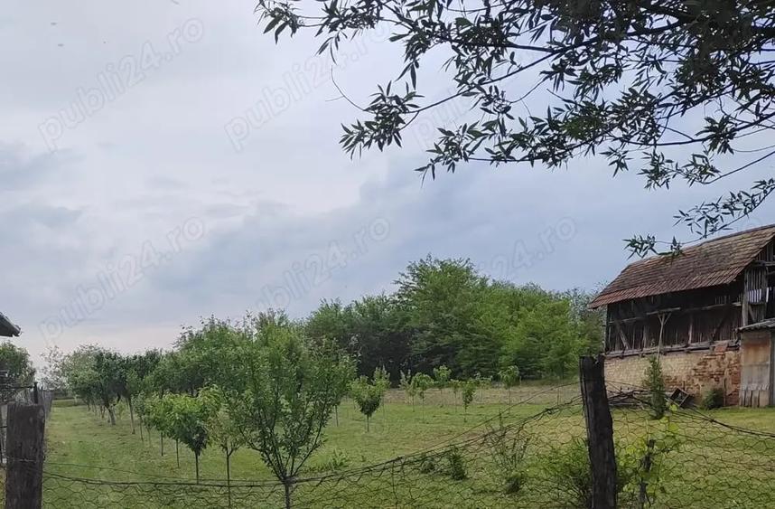 Teren de 1900 mp, în Rovinița Mare