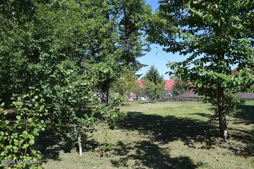 Casă cu Teren 1339 Mp în Central