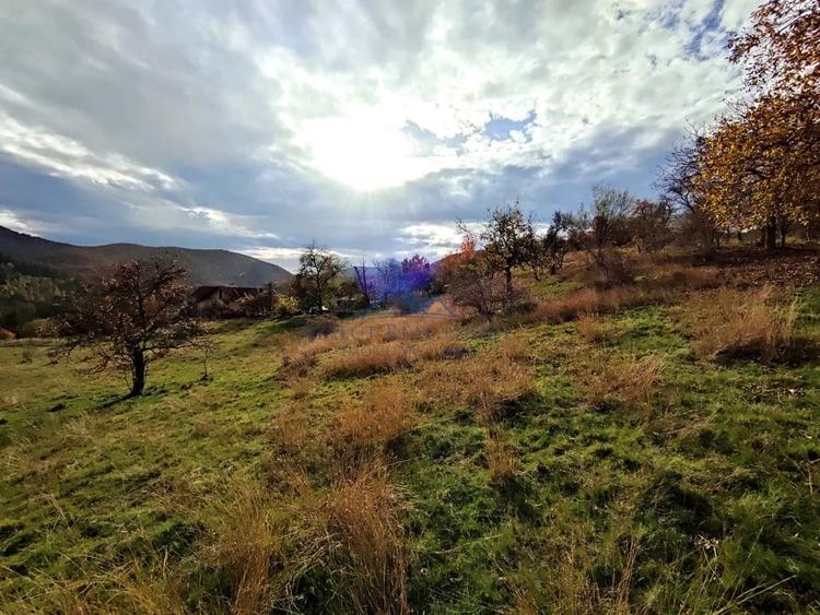 Teren Construcții intravilan de 706 mp, în Cisnădioara