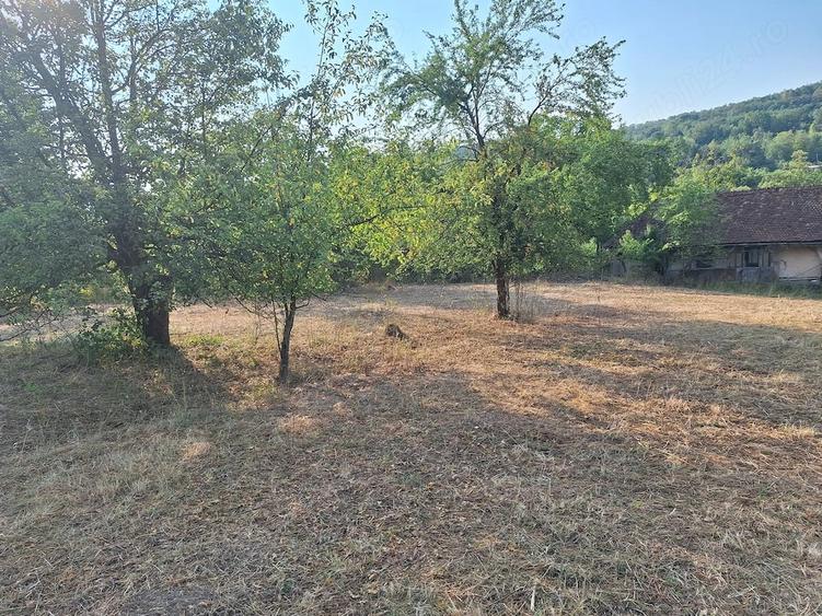 Teren de 2880 mp, în Mustești