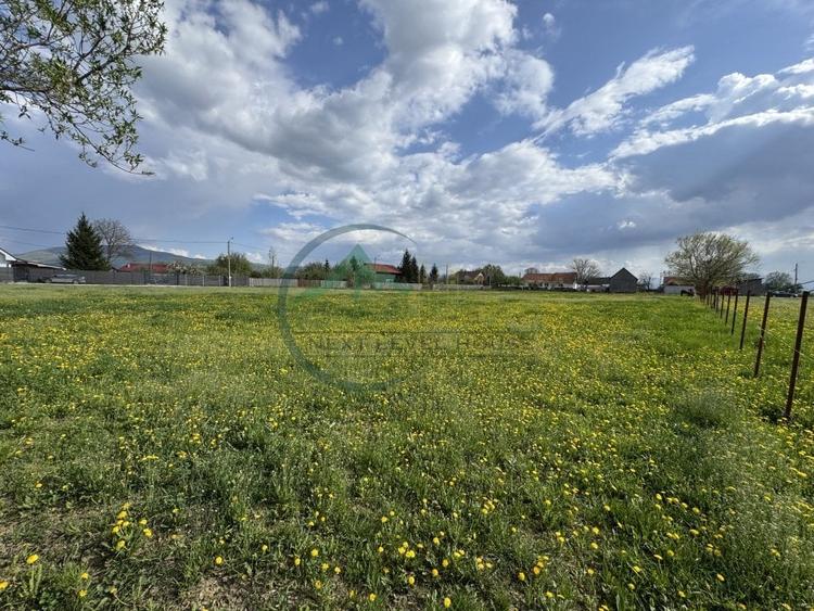 Teren Construcții intravilan de 6179.009765625 mp, în Băcel