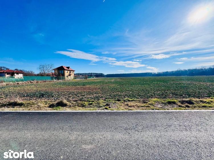 Teren de 1600 mp, în Snagov