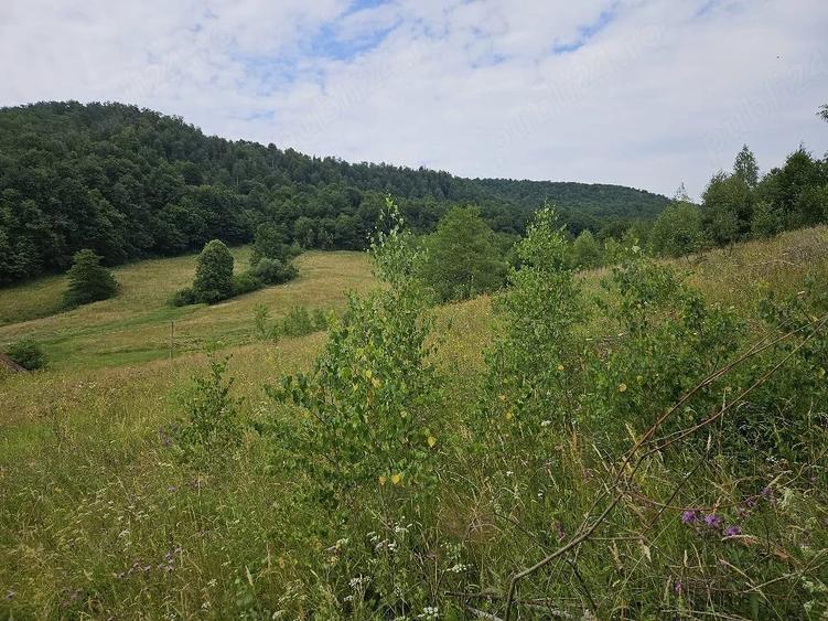 Teren de 5500 mp, în Hurez