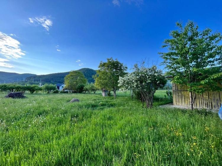 Teren de 1780 mp, în Pângărați