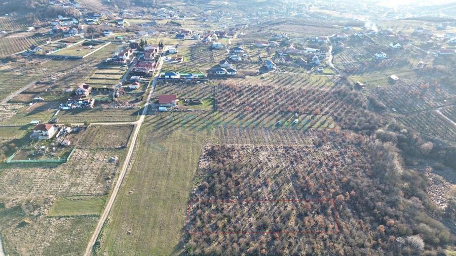 Teren Construcții intravilan de 4230 mp, în Paleu