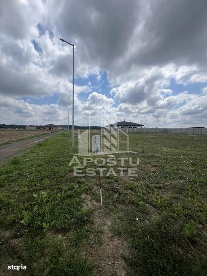 Spațiu comercial, în Moșnița Nouă