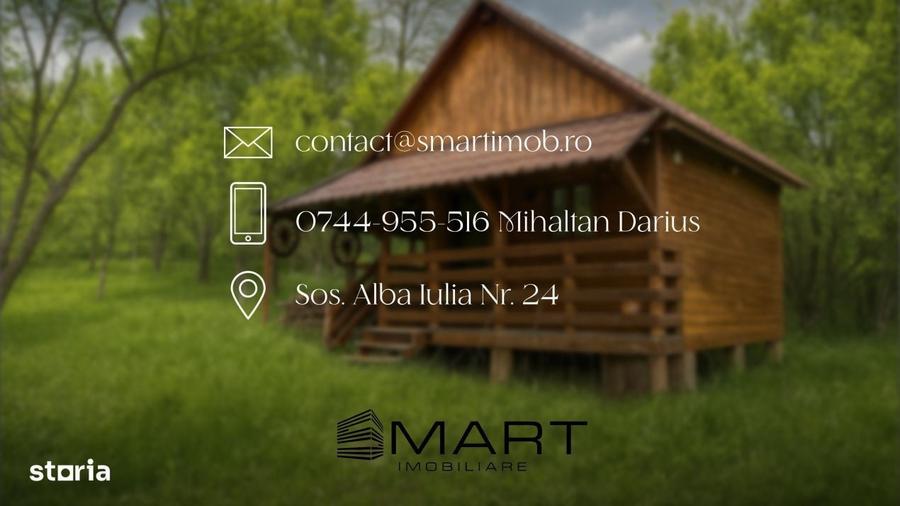 Spațiu comercial, în Blănoiu