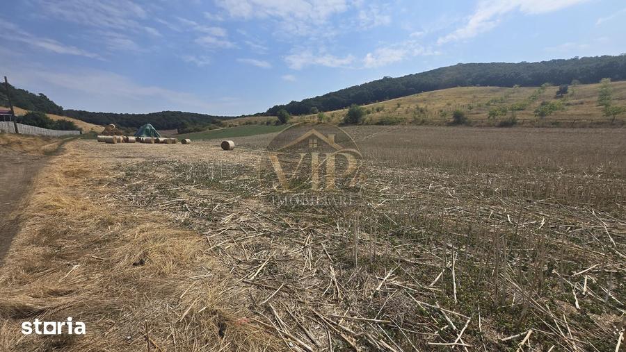 Teren de 7000 mp, în Ighiu