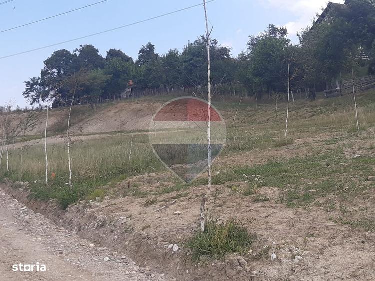 Spațiu comercial, în Tohanu Nou