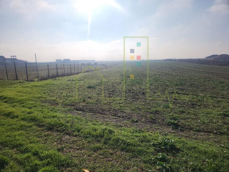 Teren agricol extravilan de 3000 mp, în Săcălaz
