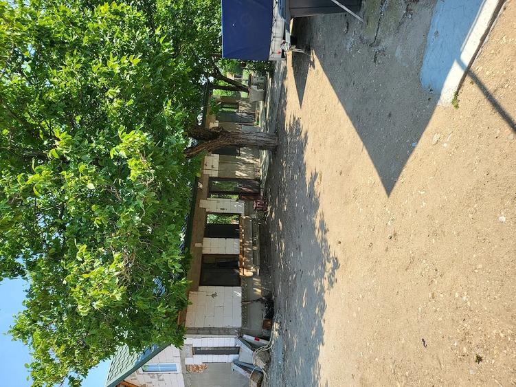 Casă cu Teren 2200 Mp în Valea Stanciului