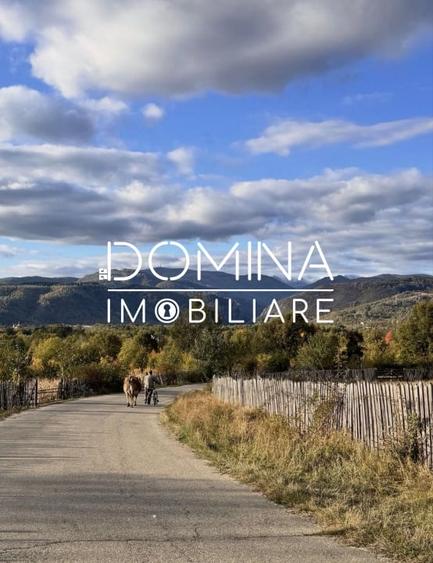 Teren Construcții intravilan de 3262 mp, în Baia de Fier