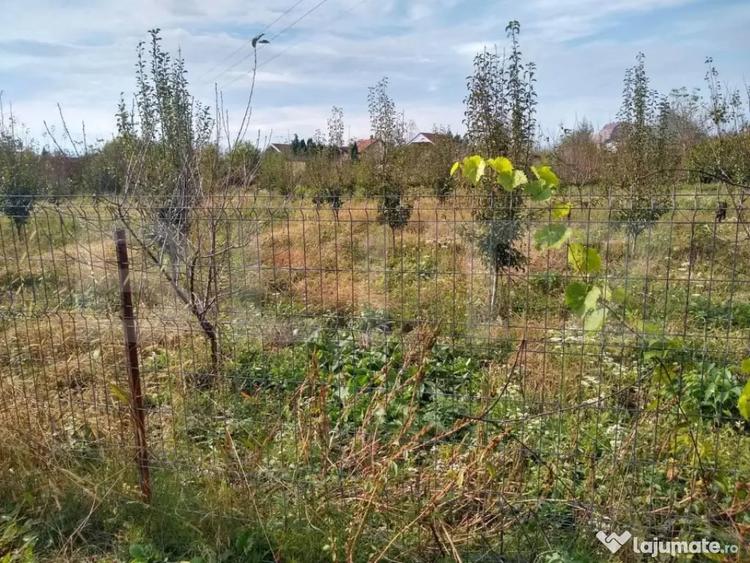 Teren de 4170 mp, în Bercu Roșu