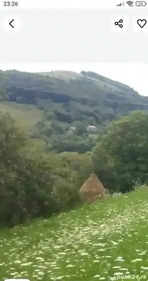 Teren de 1500 mp, în Sălciua