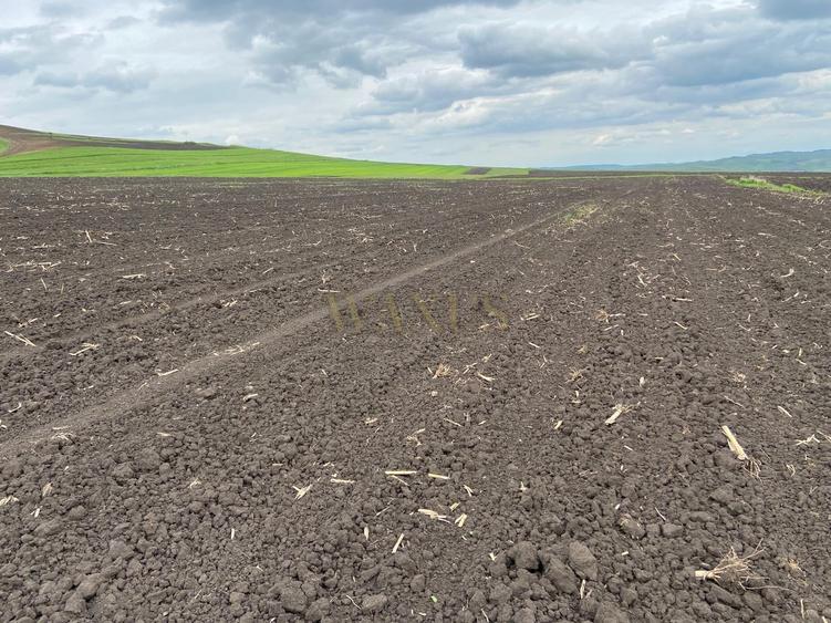 Teren agricol extravilan de 10200 mp, în Țagu