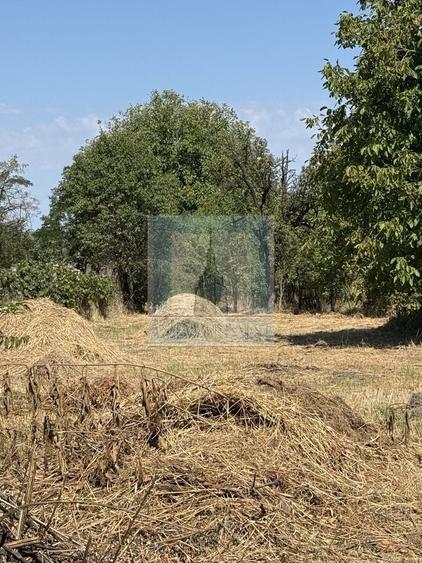 Casă individuală cu 3 camere cu Canalizare în Cuciulata
