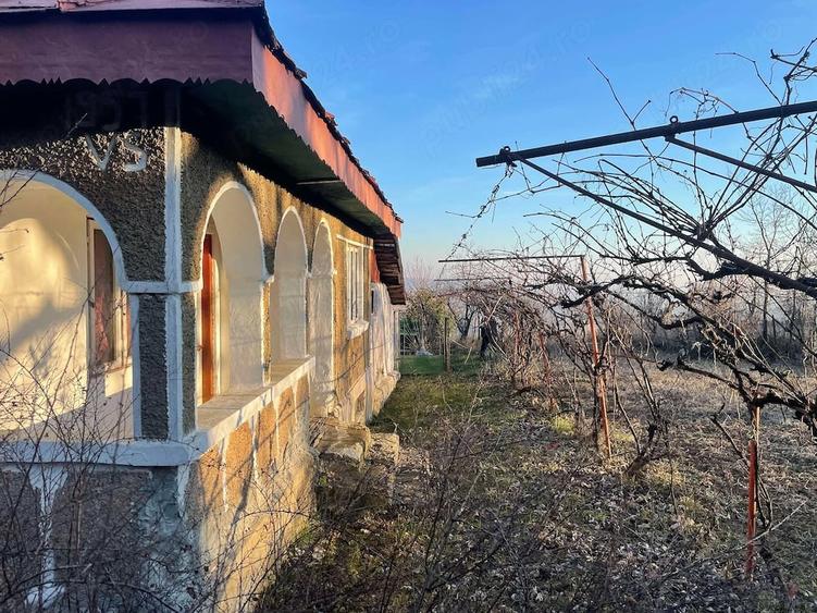 Teren de 5200 mp, în Seciu
