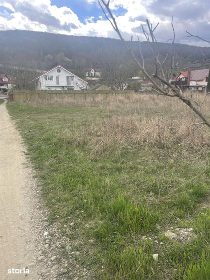 Teren de 700 mp, în Hemeiuș