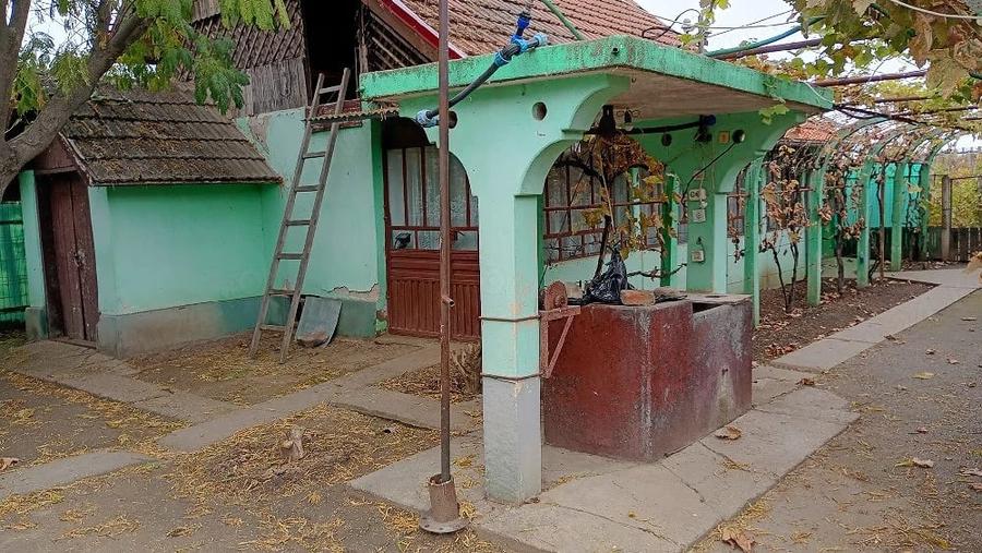 Casă cu Teren 5000 Mp în Grojdibodu