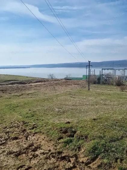 Teren de 5000 mp, în Burila Mare