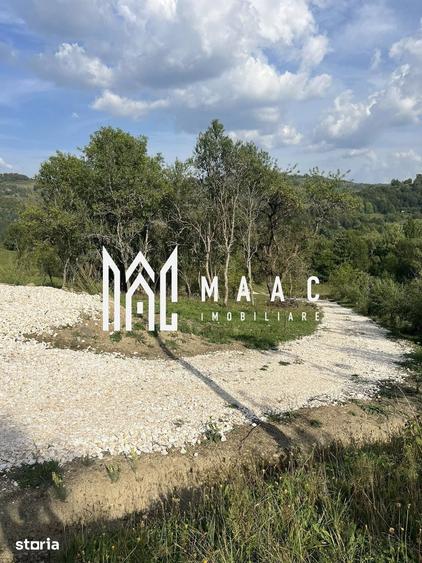 Teren de 14242 mp, în Sohodol