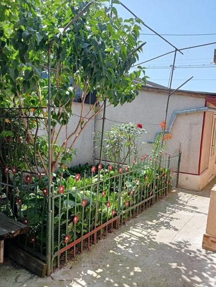 Casă cu 4 camere în Radu Negru