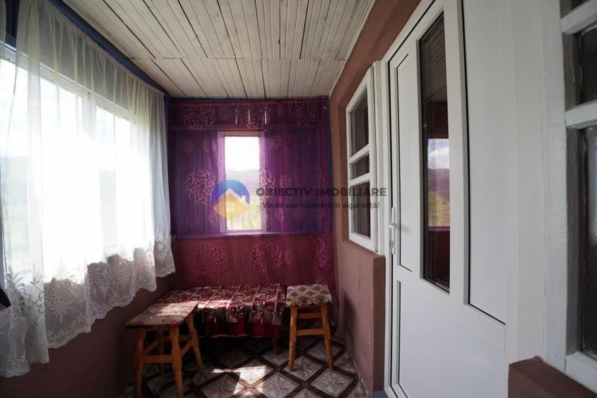 Teren intravilan de 9000 mp, în Vânători