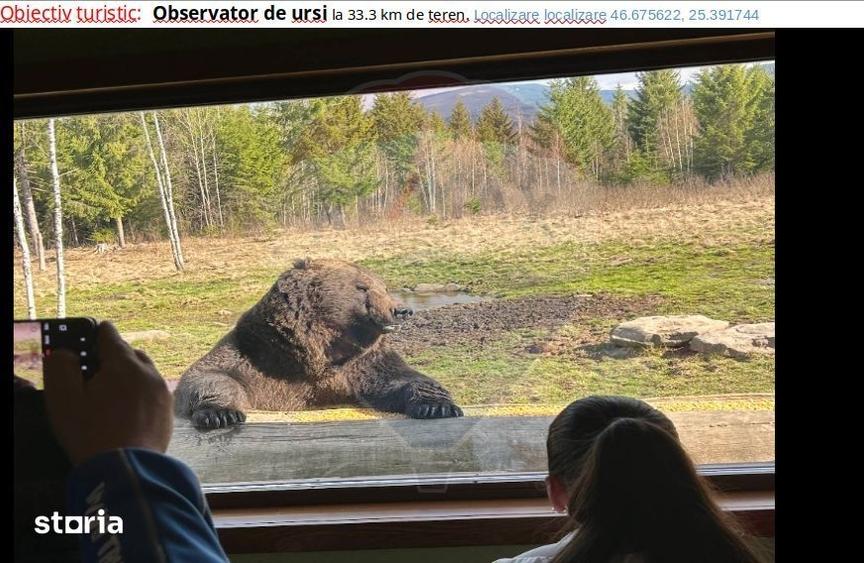 Teren de 40000 mp, în Suseni