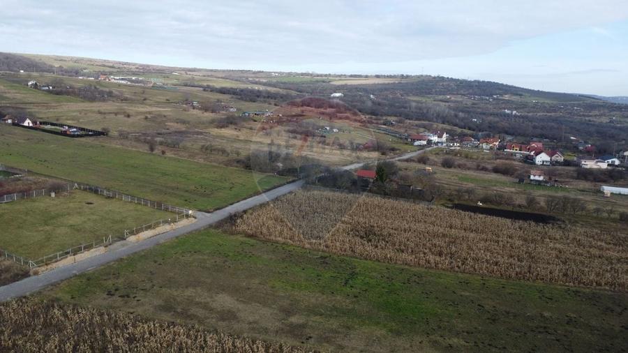 Teren agricol extravilan de 19375 mp, în Dâmbul Rotund