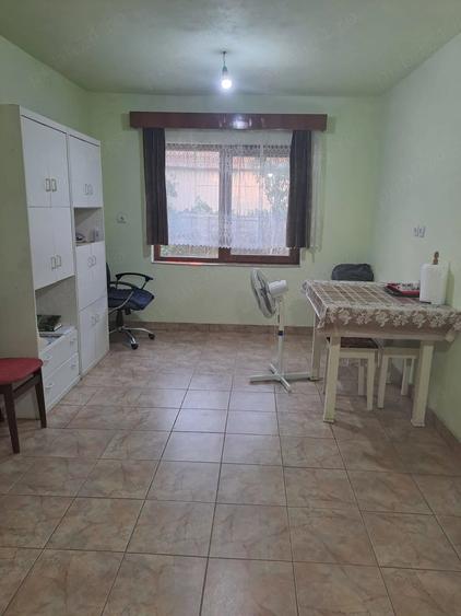 Casa de vanzare - loc. Cenad - 4