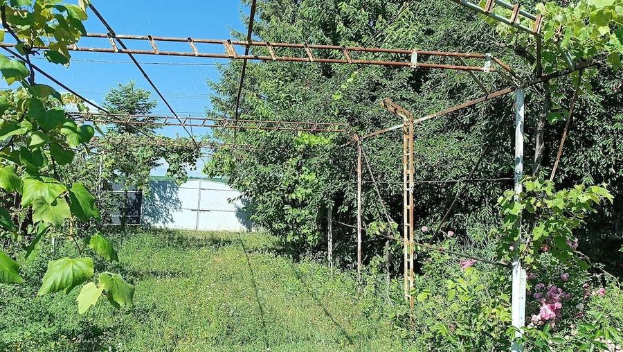 Teren de 10000 mp, în Ruginoasa