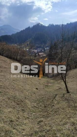 Teren agricol extravilan de 5000 mp, în Rucăr