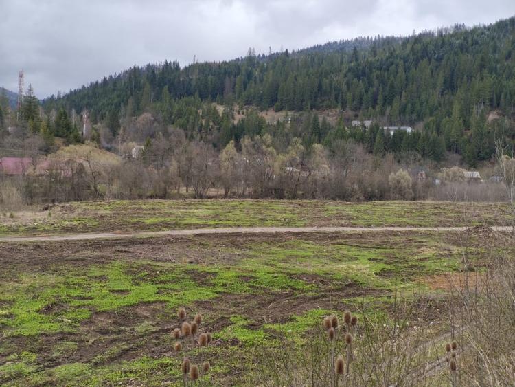 Teren Construcții intravilan de 22600 mp, în Sucevița