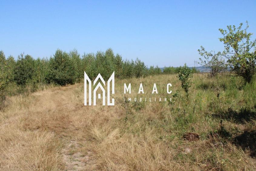 Teren agricol extravilan de 3100 mp, în Arpașu de Sus