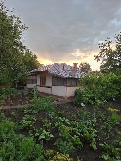 Casă cu Teren 3600 Mp în Petru Rareș