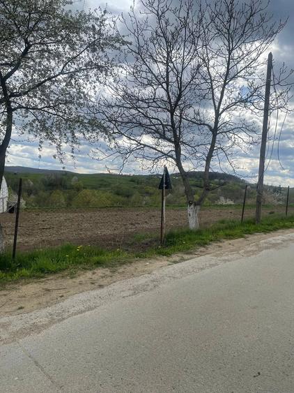 Casă cu Teren 5200 Mp în Pârteștii de Jos